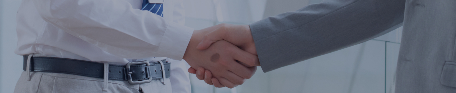 Partnership Process