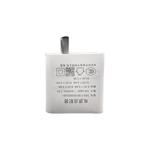 30W Fast Charger (Optional）