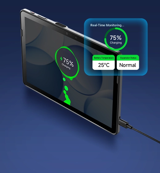 Comprehensive Battery Monitoring